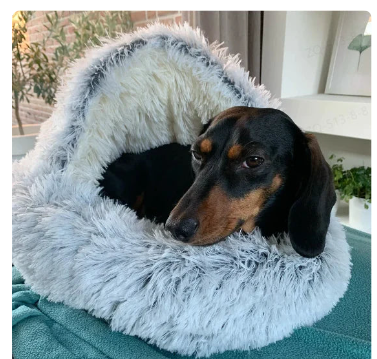 2-in-1 Pet Bed for Cats & Small Dogs