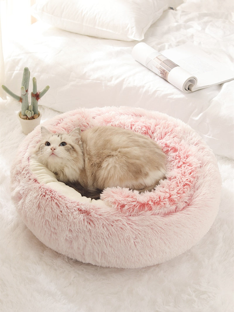 2-in-1 Pet Bed for Cats & Small Dogs