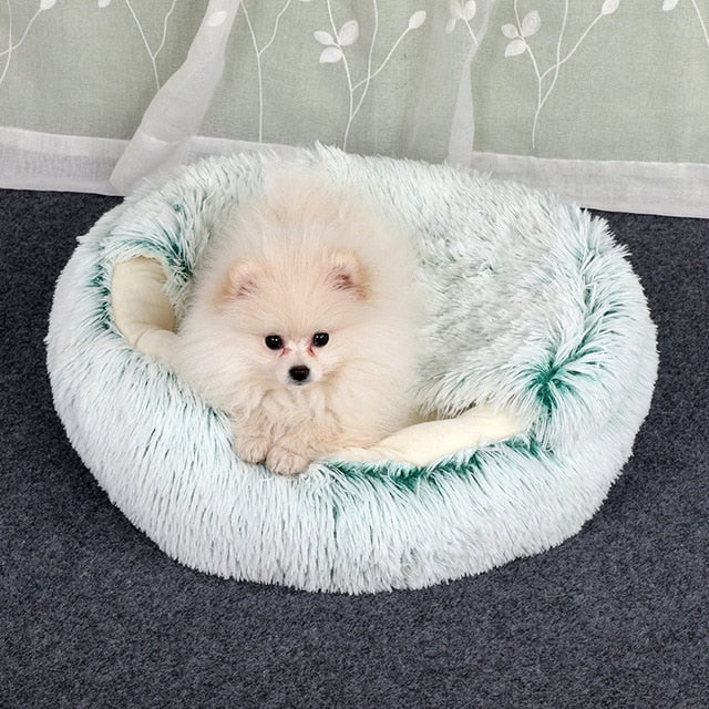 2-in-1 Pet Bed for Cats & Small Dogs