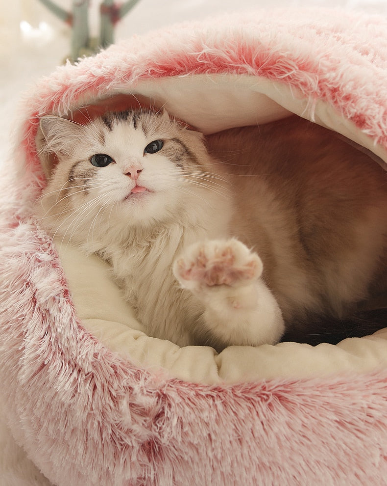2-in-1 Pet Bed for Cats & Small Dogs